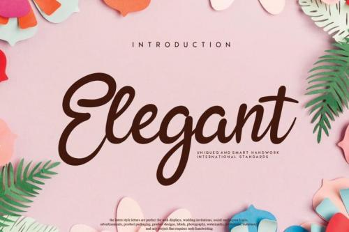 Elegant Script Font