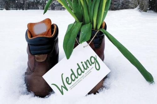 Elegant Script Font  1