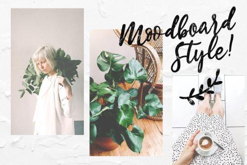 Estylle Madison Script Font 1