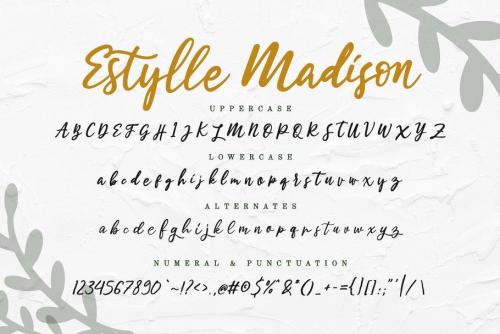 Estylle Madison Script Font 11