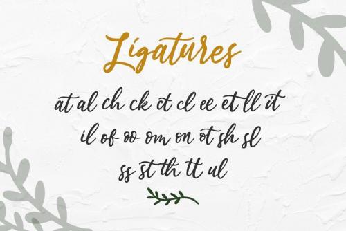 Estylle Madison Script Font 12