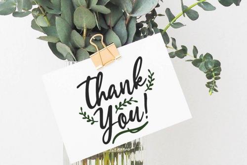 Estylle Madison Script Font 15