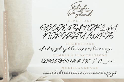 Felisha Roseland Script Font 6