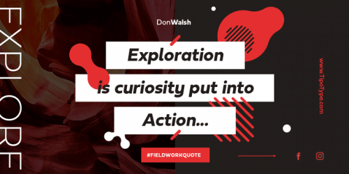Fieldwork Font Family 3