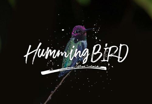 Fusterd Brush Font  2