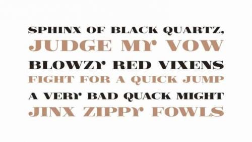 GFS Didot Serif Font 2