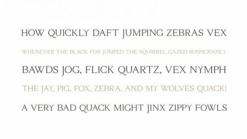 GFS Orpheus Serif Font 1