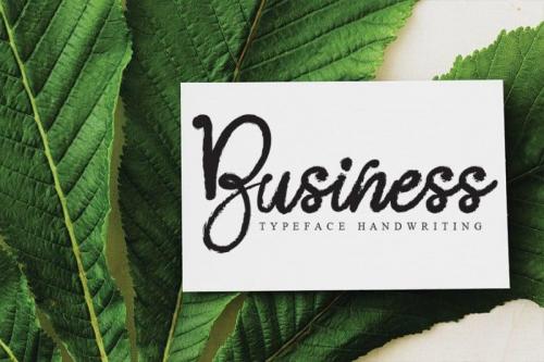 Gamelia Script Font 2