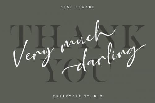 Golden Class Script Font 17