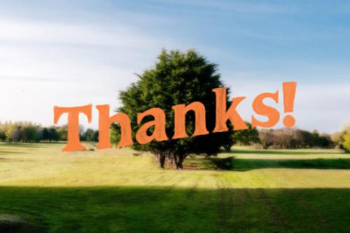 Good Vibrations Serif Font  6