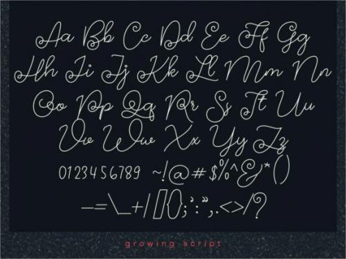Growing Handwritten Font  7