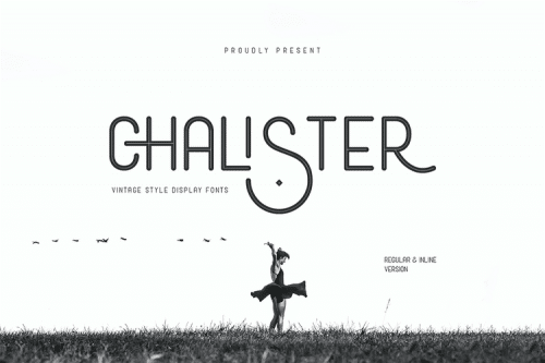 Hamburge Sans Serif Font 2