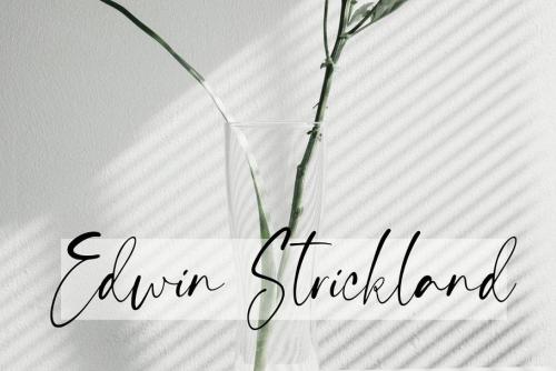 Handsnow Handlettered Font  12