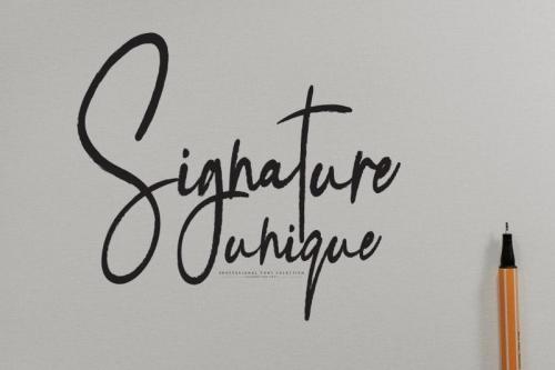 Handwritting Script Font  1