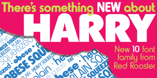 Harry Pro Font Family