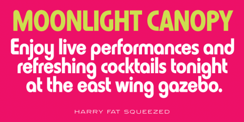 Harry Pro Font Family 1