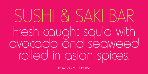 Harry Pro Font Family 2