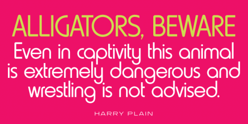 Harry Pro Font Family 3