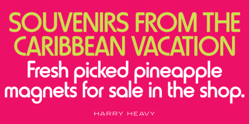 Harry Pro Font Family 4