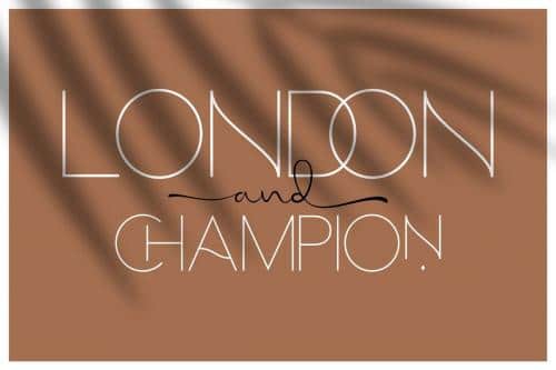 Hello Galleria Font Duo  1