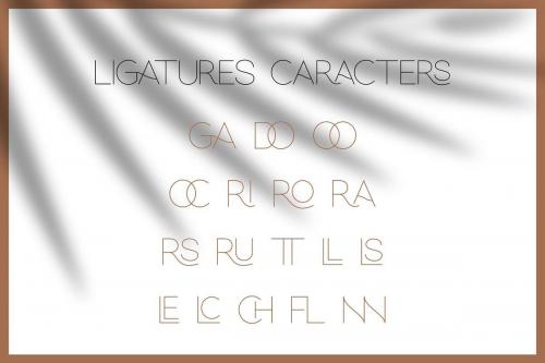 Hello Galleria Font Duo  2