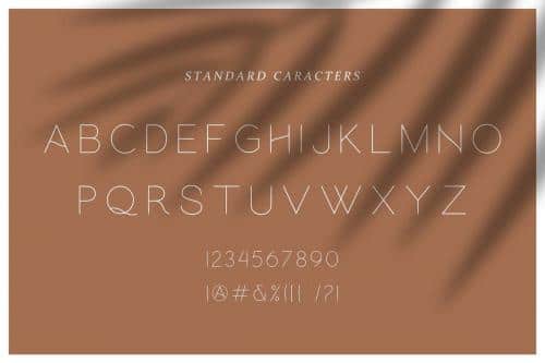 Hello Galleria Font Duo  3