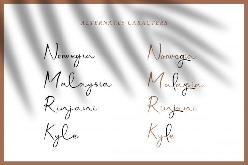 Hello Galleria Font Duo  9