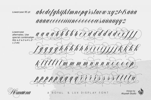 Hermaiona Script Font 10