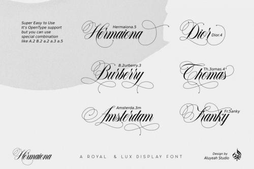 Hermaiona Script Font 7