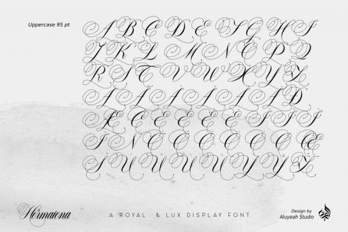 Hermaiona Script Font 8