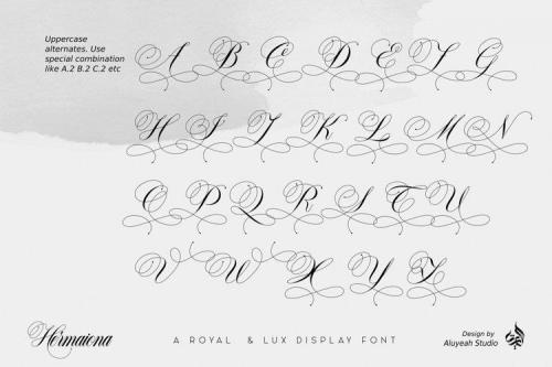 Hermaiona Script Font 9