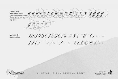 Hermaiona Script Font  11