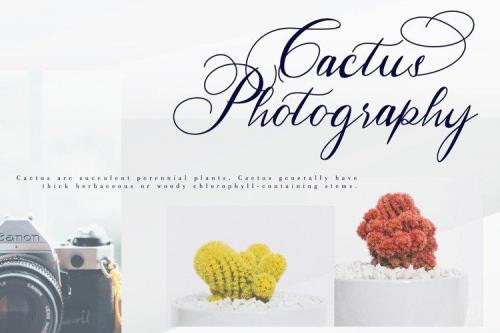 Hertina Calligraphy Font 5