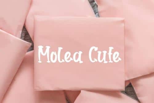 Home Flower Display Font  1