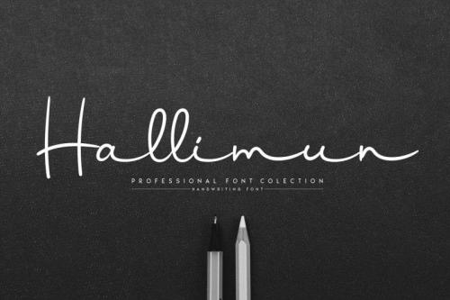 Honeymoon Handwritten Font 3
