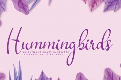 Hummingbirds Script Font