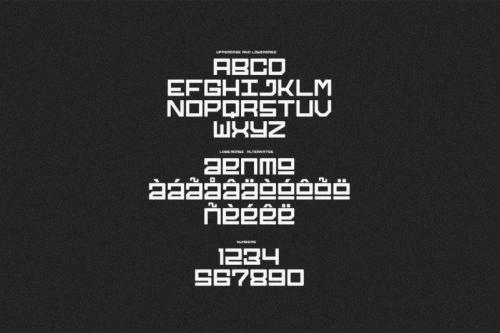 Igoe Display Font 1