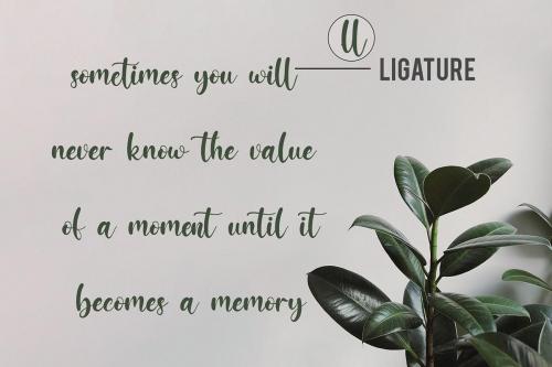 Jessicca Mariolline Script Font 4