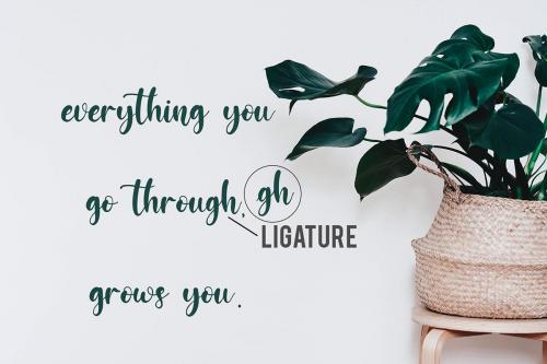 Jessicca Mariolline Script Font 5