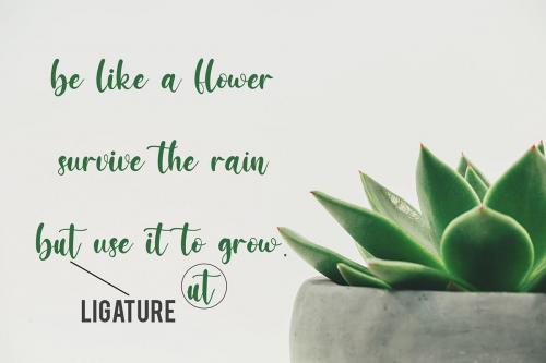 Jessicca Mariolline Script Font 6