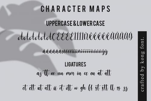 Jessicca Mariolline Script Font 8