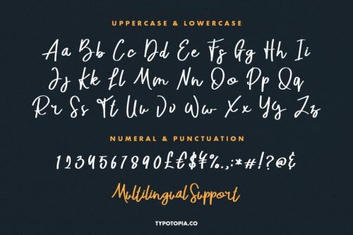 Jupiter Fancy Script Font 3