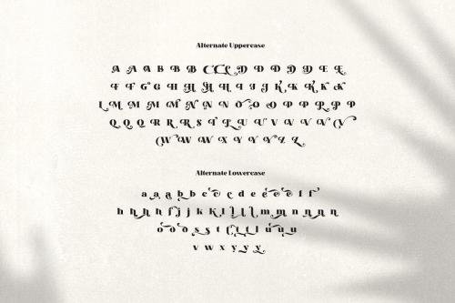 Kaoly – Bold Serif Font  10