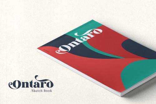 Kaoly – Bold Serif Font  12
