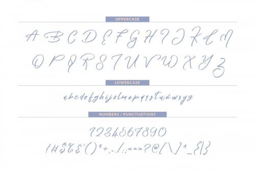 Kensington Script Font 5