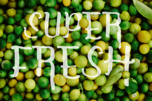 Kingdom Storia Display Font 5