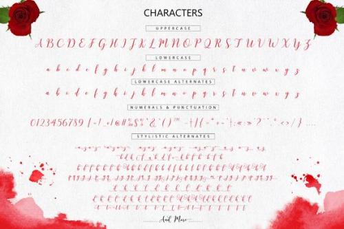Kissita Script Font 3