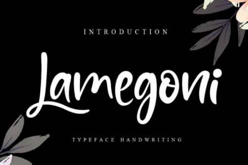 Lamegoni Script Font
