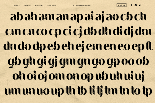 Landing Sans Serif Font  5