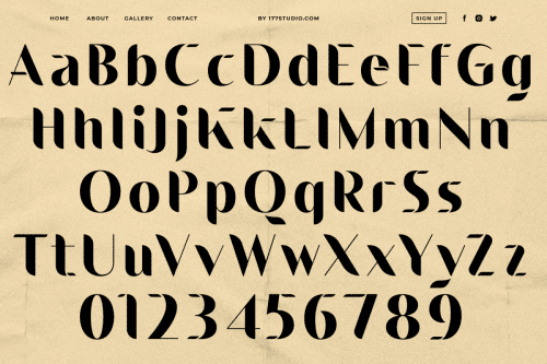 Landing Sans Serif Font  6